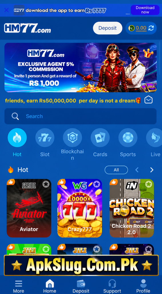 HM777 Game Image