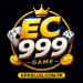 EC999 Game Image