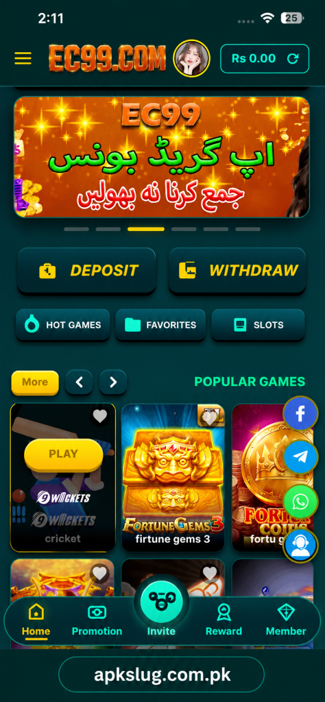 EC999 Game image
